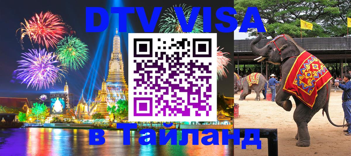 Оформление DTV визы под ключ: стоимость и тарифы, только загранпаспорт - 18.11.2025 